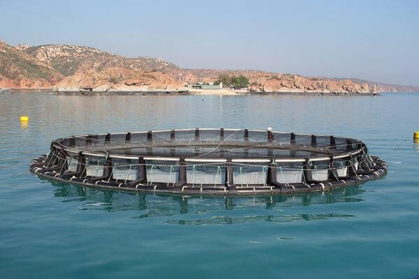 SEA CAGES